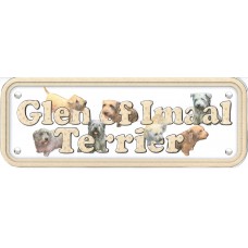Glen of Imaal Terrier